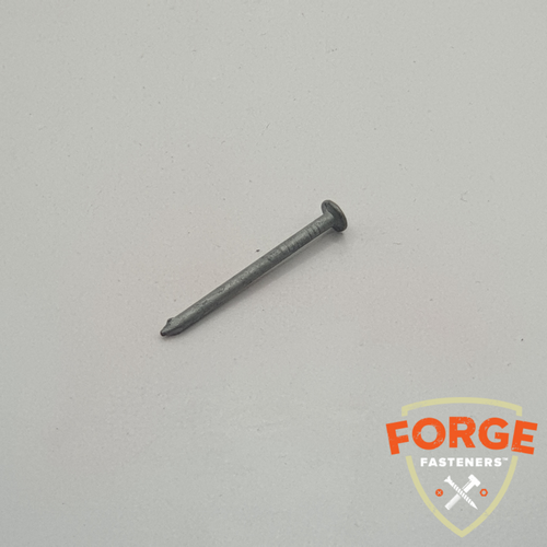 NAIL CLOUT FLAT HD GALV (BULK)